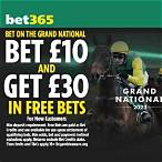 good outside bet for grand national